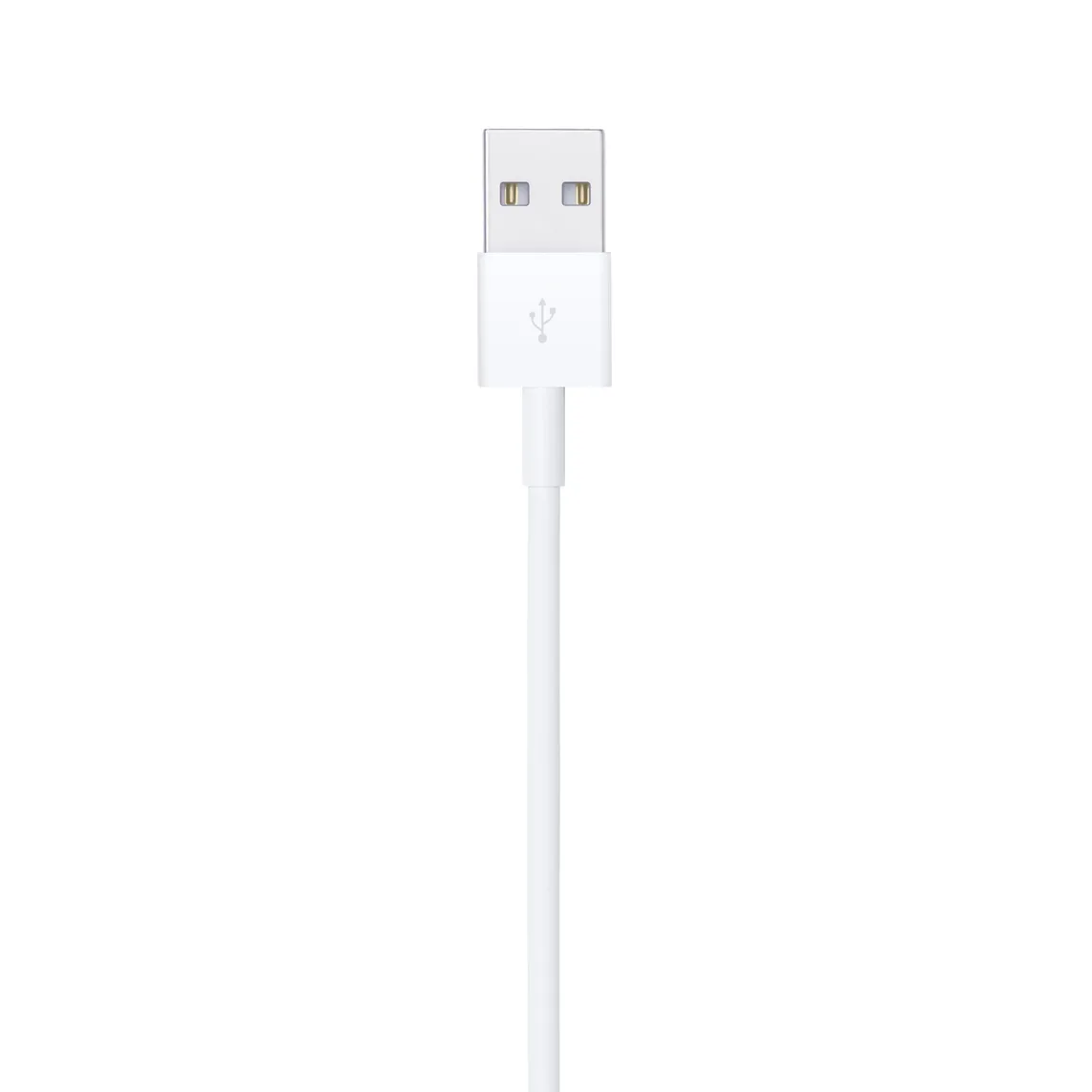 Apple Lightning to USB Cable 1M