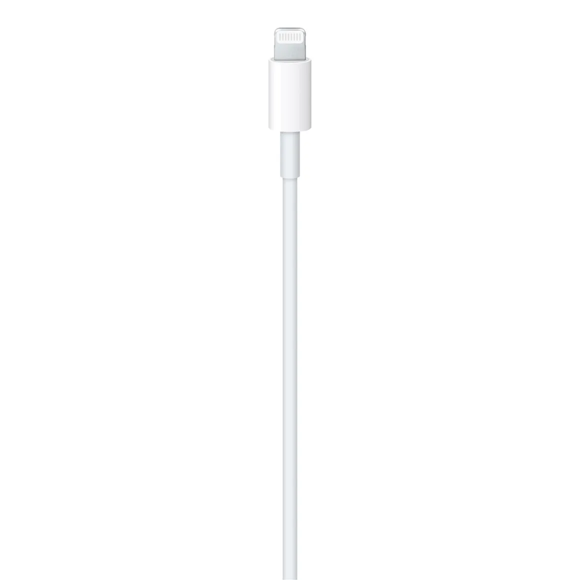 Apple Type C to Lightning Cable 1M