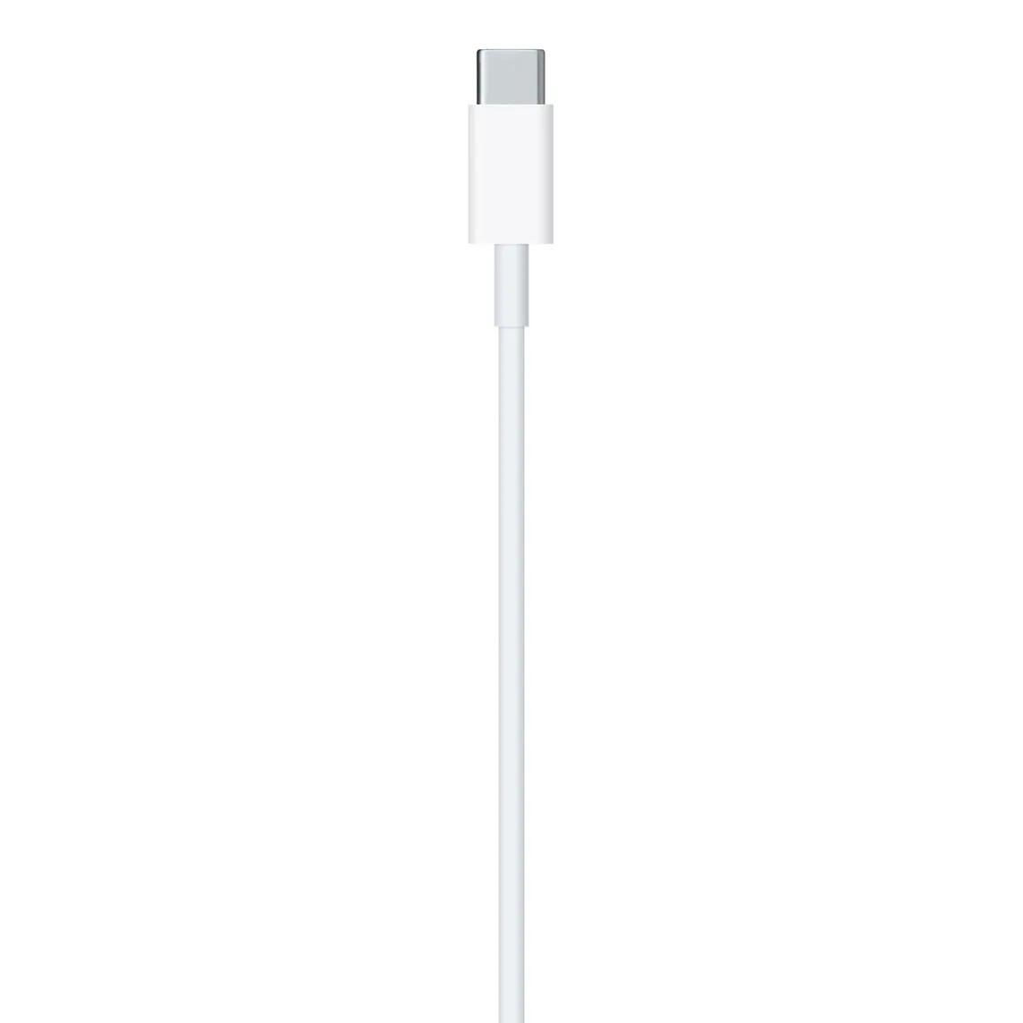 Apple Type C to Lightning Cable 1M